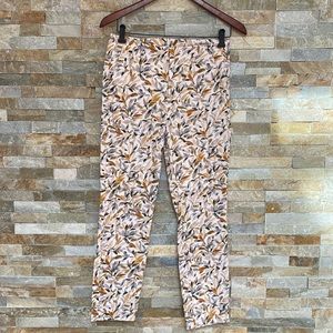 Zara Basics Pencil Pants
